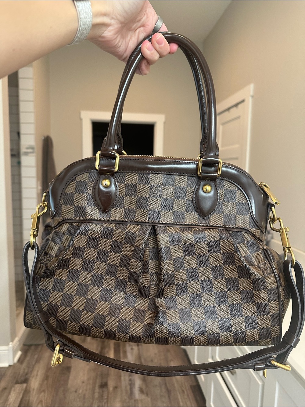 Louis Vuitton Damier Ebene Trevi Pre-Owned Bag